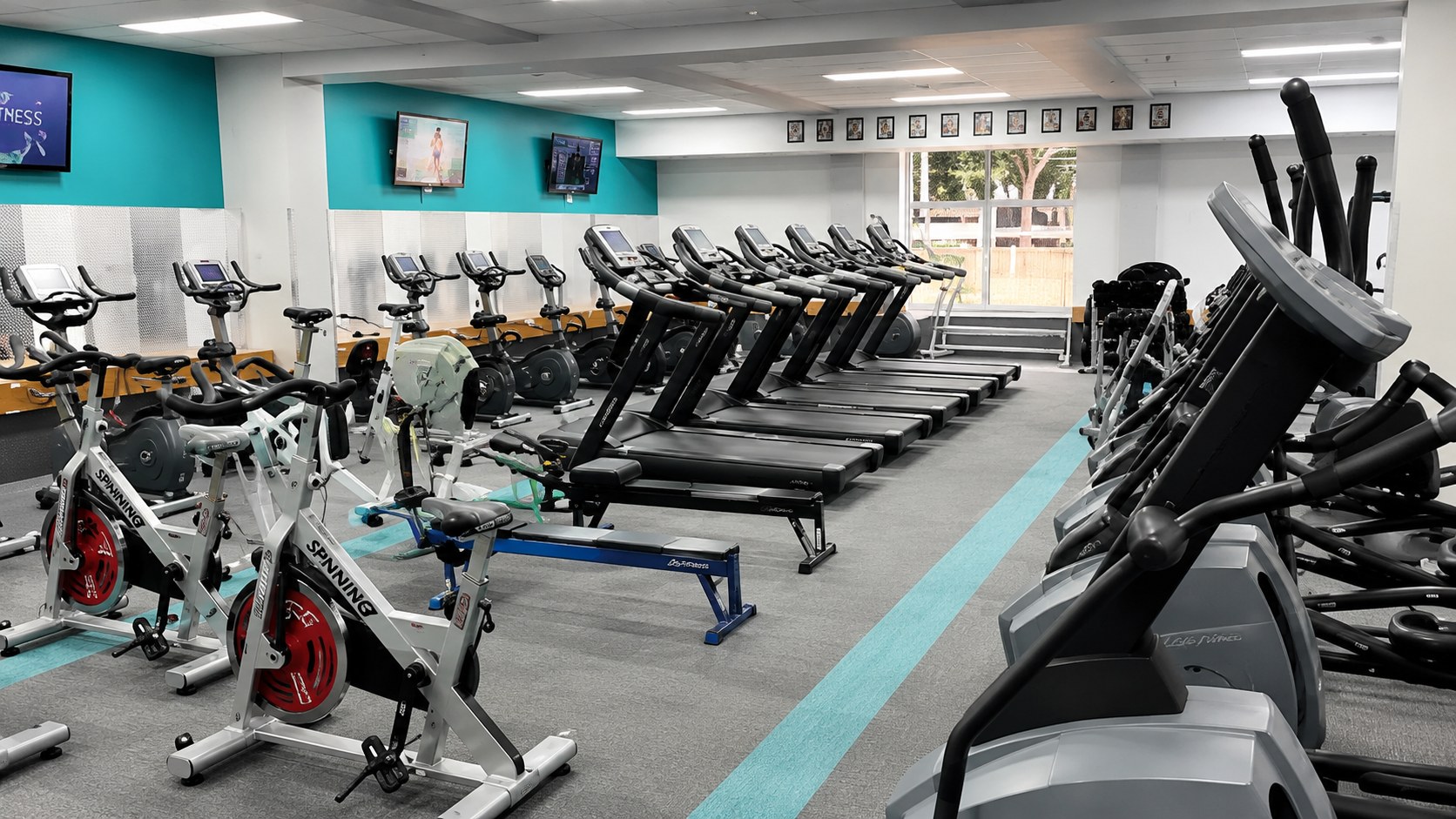 Fitness & Gym